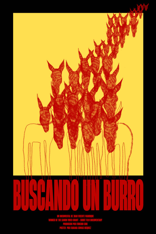 Buscando un burro